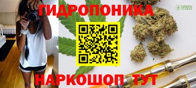гашик Туймазы