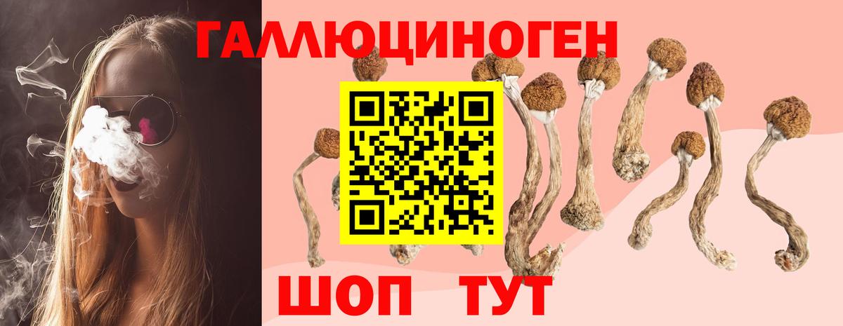 Боровичи  Галлюциногенные грибы прущие грибы  Вход с VPN 