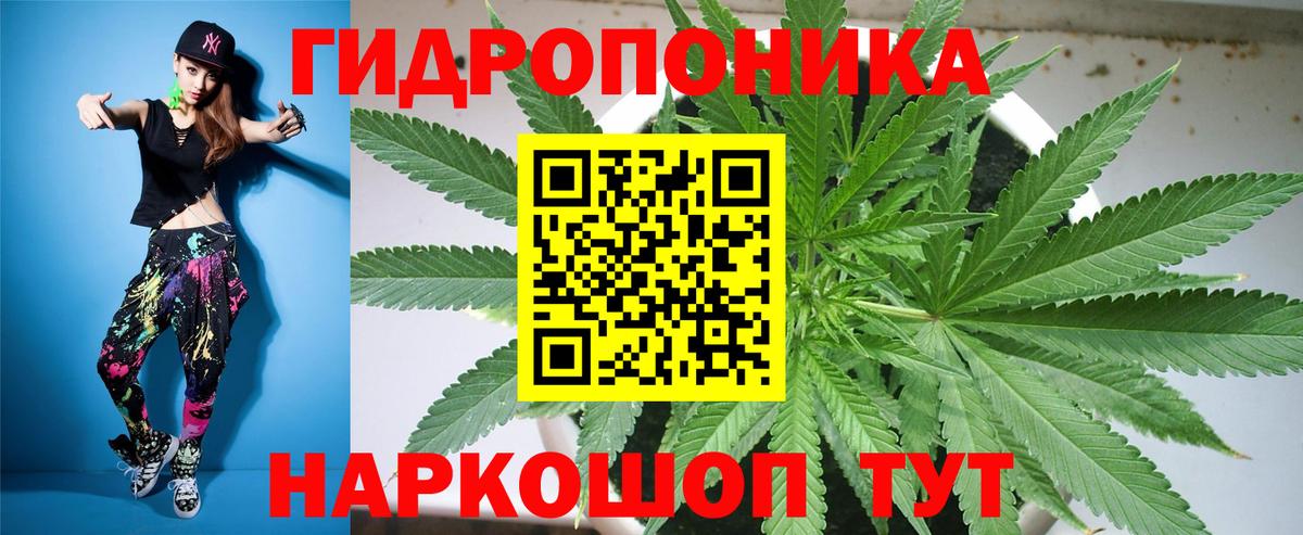 Бошки марихуана MAZAR  МАРИХУАНА тримм  Вход с VPN  Бошки Шишки план  Боровичи 